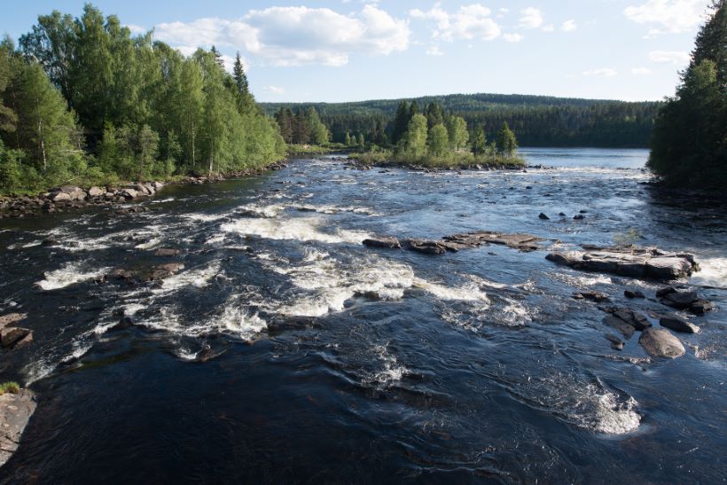 bilvask Elverum