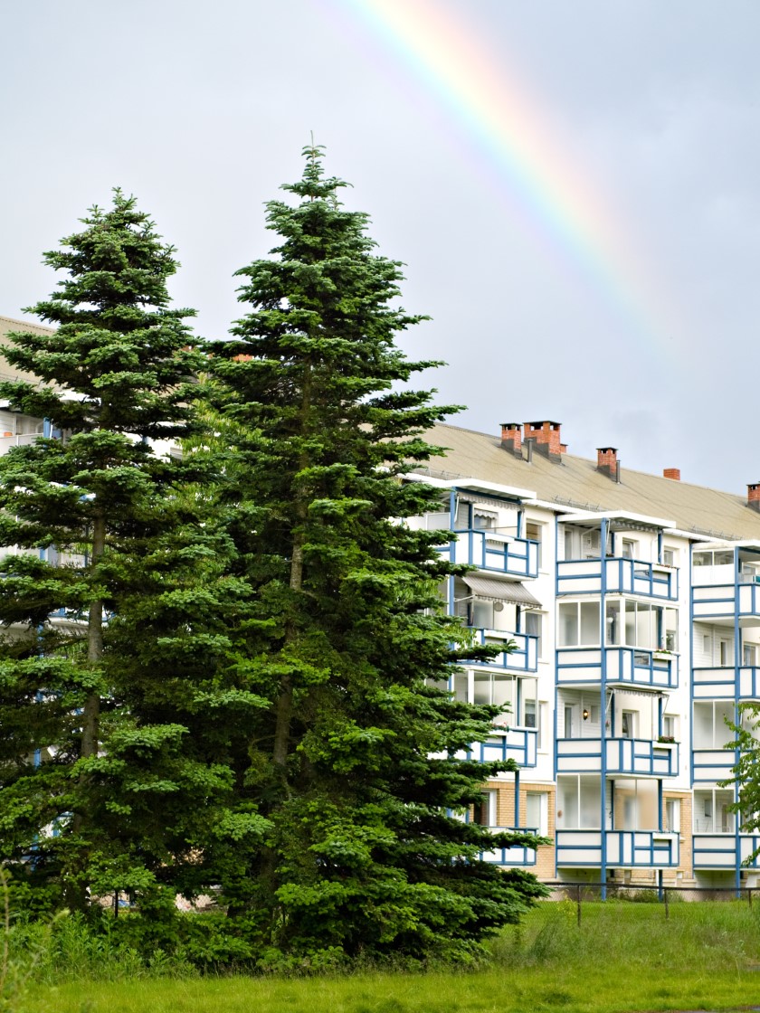 tilbyder av innvendig bilvask Lambertseter